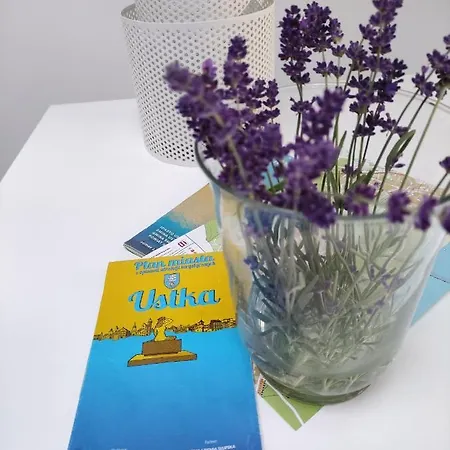 Letni Wiatr Przewloka (Pomerania)