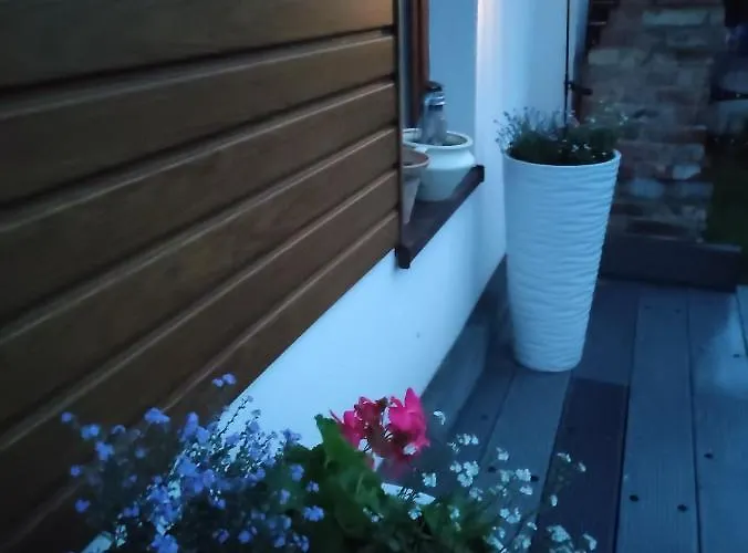 Letni Wiatr Przewloka (Pomerania)