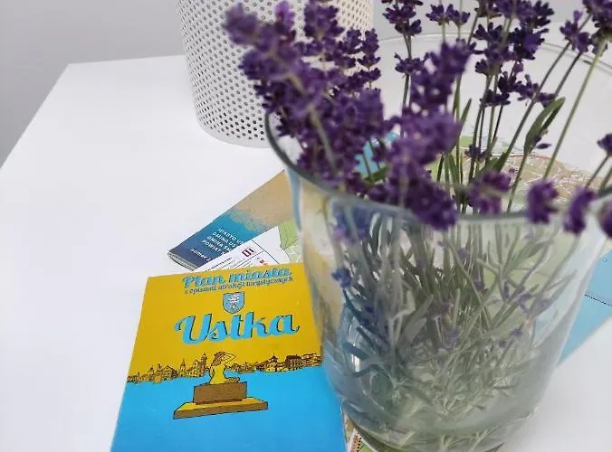 Letni Wiatr Przewloka (Pomerania)